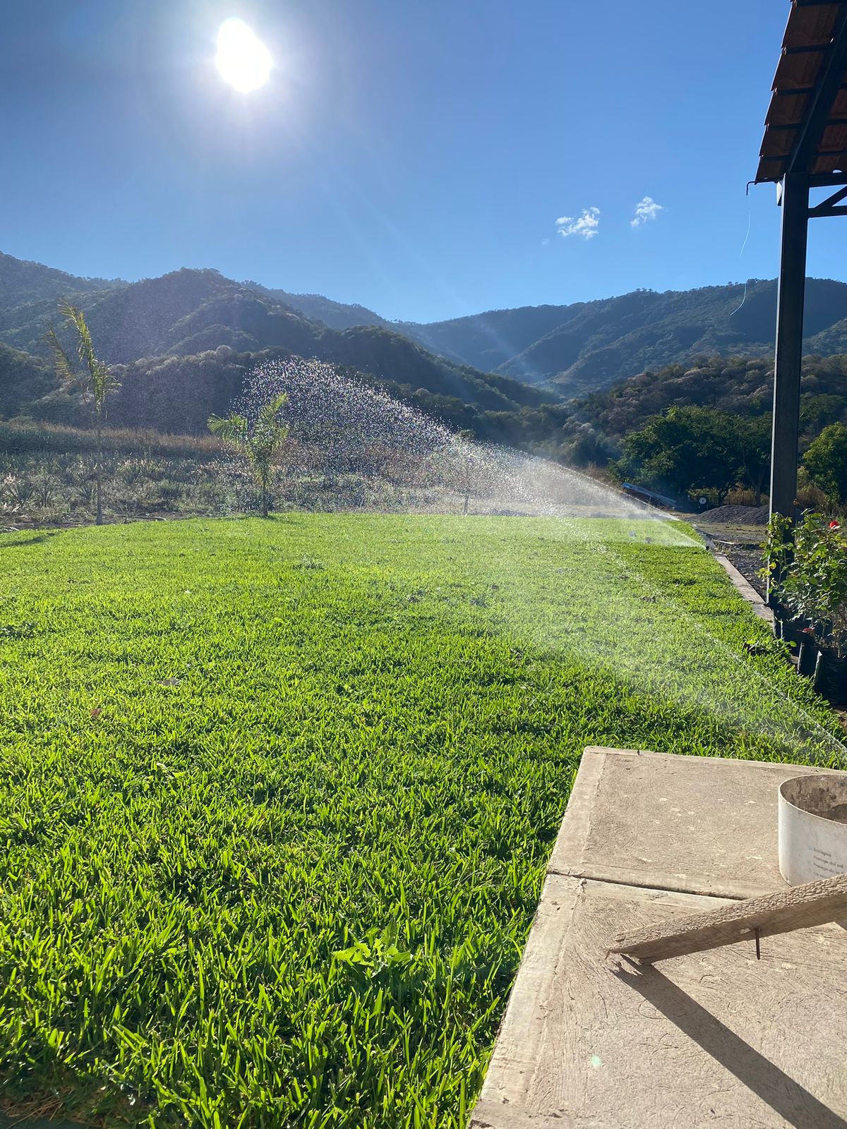 Mantenimiento Jardines